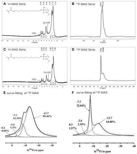 Figure 3 NMR spectra.Notes: (A) 1H MAS NMR spectrum of MDP-conditioned zirconia particles; (B) 31P MAS NMR spectrum of MDP-conditioned zirconia particles; (C) curve-fitting analysis results of 31P MAS NMR spectrum of MDP-conditioned zirconia particles; (D) 1H MAS NMR spectrum of MDP-conditioned, Zr(OH)4-coated zirconia particles; (E) 31P MAS NMR spectrum of MDP-conditioned Zr(OH)4-coated zirconia particles; (F) curve-fitting analysis results of 31P MAS NMR spectrum of MDP-conditioned Zr(OH)4-coated zirconia particles.