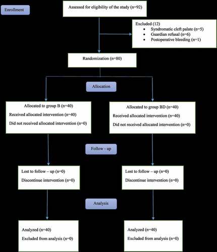 Figure 2. CONSORT flow diagram of the participants through each stage of the randomized trial. Group B = bupivacaine only; group BD = bupivacaine plus dexmedetomidine