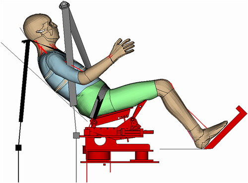 Figure 1. The Active SHBM seated in a reclined posture, 50° from the vertical axis, on the semi-rigid seat model with two different seatbelt geometries: BIS (black belt textile) and BPI (gray belt textile). Note: the BIS and BPI simulations were run separately. They are shown in the same figure only for comparison. For the BPI seatbelt geometry, the right arm of the HBM is outboard of the vertical portion of the 2D seatbelt. As this is not reasonable, no contact was defined between the 2D seatbelt and the arm to avoid problems with the initial configuration.