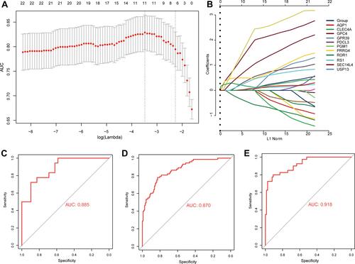 Figure 5 Identification of feature genes capable of diagnosing COPD. (A) Selection of optimal parameter (lambda) based on minimal criteria in the LASSO regression model. (B) LASSO coefficient profiles of 11 feature genes with non-zero coefficients. Receiver operating characteristic curves for feature genes applied to (C) the training data in the GSE47460 dataset, (D) the validation data in the GSE47460 dataset, or (E) the external validation data in the GSE151052 dataset. AUC, area under the receiver operating characteristic curve.