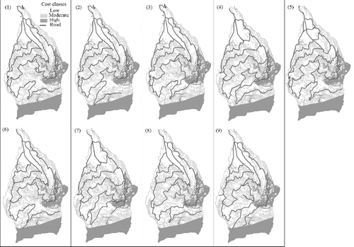 Figure 3. Road network alternatives on cost layer of study area.