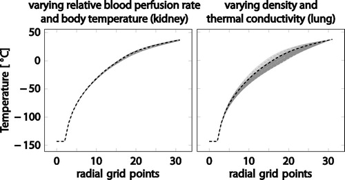 Figure 4. Bivariate sensitivity analysis for kidney tissue, varying relative blood perfusion rate and body temperature (left). Bivariate sensitivity analysis for lung tissue, varying density and thermal conductivity (right). The gray lines show the temperature profiles for the variation of the parameter values, the dashed black line corresponds to the default values.