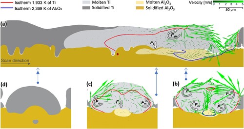 Figure 8. Representative simulation result showing the flow characteristics within the melt pool in the single track (L = 100 W, V = 400 mm/s and Ma = 1,913). (a) is taken from the cross-section A-A, and (b), (c), and (d) are respectively taken from the cross-sections B-B, C-C, and D-D, illustrated in Figure 2. (b), (c), and (d) show the melt pool results taken from the position of the double arrow illustrated in (a).