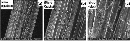 Figure 5. (A-c) SEM images of TD fiber with different magnification.