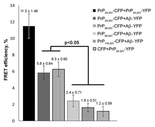 Figure 5. The FRET efficiency between PrP-CFP polymers (donors) and Aβ-YFP (acceptor) that reflects the molecular association of proteins analyzed. The FRET efficiency is shown in percent. Error bars are indicated.