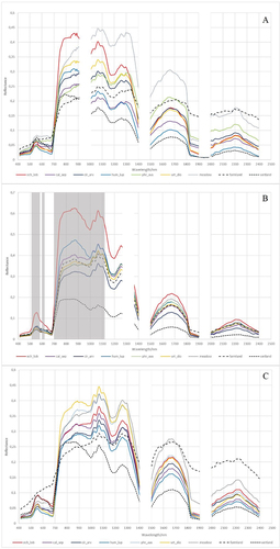 Figure 6. Mean spectral signatures of Echinocystis lobata and 8 background subclasses (abbrv.: ech_lob - Echinocystis lobata; cal_sep - Calystegia sepium; cir_arv - Cirsium arvense; hum_lup - Humulus lupulus; phr_aus - Phragmites australis; urt_dio - Urtica dioica) from hyperspectral images and reference polygons from: (A) spring; (B) summer, and (C) autumn campaigns. Wavelength ranges where the reflectance coefficient differed significantly for Echinocystis lobata against the remaining subclasses (except Calystegia sepium, Humulus lupulus) are shown in grey (Kruskal-Wallis test: n.S., α = 0.05).