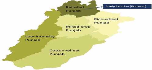 Figure 2. Map of Punjab showing the study locations in rain-fed Punjab (adapted from (Khan, Citation2002).