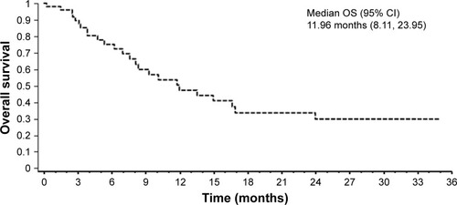 Figure 2 Kaplan–Meier curve of OS (enrolled population).