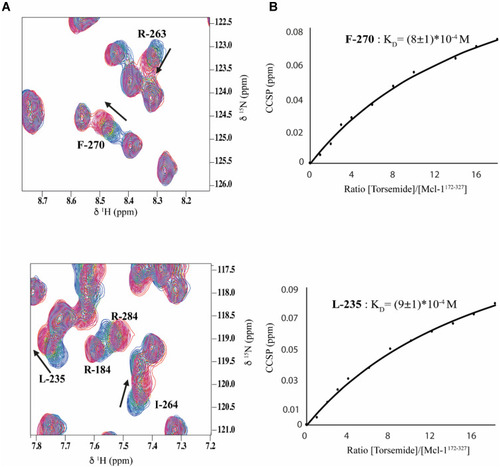 Figure 4 Overlay of 1H-15N HSQC spectra (expanded views) obtained for 15N-Mcl-1 in the absence and presence of increasing amounts of Torsemide (various L/P0 ratio). Chemical shift modifications of residues F-270, R-263, L-235, R-184, R-284 and I-264 (A), are indicated by black arrows. (B) Titration curves for F-270 and L-235 and KD estimation of each residue using Equation (2).