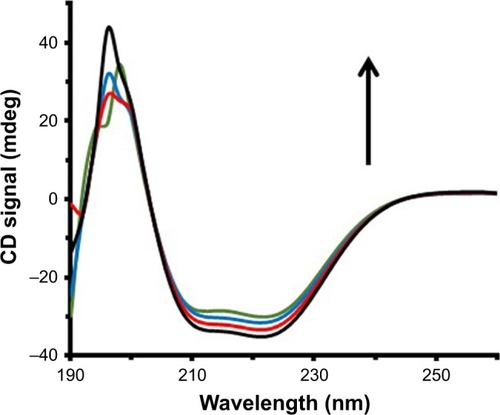 Figure 6 Far CD spectra of HSA (3 µM) in the presence of varying concentrations of ZVFe NP (0 [black], 3 [red], 10 [blue], and 30 [green] µM).Abbreviations: CD, circular dichroism; HSA, human serum albumin; ZVFe NPs, zero valent iron nanoparticles.