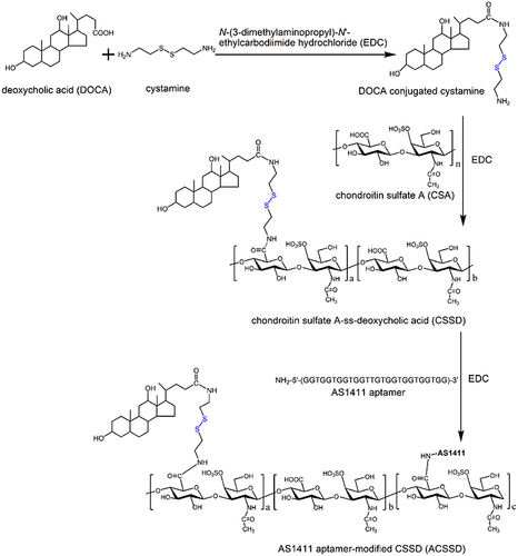 Figure 1 Synthetic scheme of ACSSD conjugate.