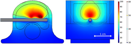 Figure 4. 80 W, 3.5 min ex vivo ablation simulation with initial tissue temperature of 20 °C.