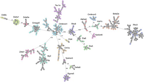 Figure 1. Minimum spanning tree showing 22 listeriosis clusters associated with salmon consumption. The tree was calculated using 1701 locus cgMLST data in the pairwise ignore missing values mode. Clinical isolates are shown in various colours, food isolates are shown in grey. Clusters consisting of isolates with ≤7 different alleles are highlighted by a grey background. Numbers indicate allelic distances between the single nodes of the tree.