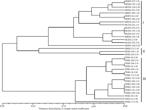 Fig. 4. Virulence dissimilarity dendrogram of 35 Puccinia triticina isolates collected in Canada in 2007 based on the unweighted pair group method with arithmetic means clustering method using simple mismatch coefficient (1-simple match coefficient) calculated based on virulence on 16 leaf rust resistance genes. Numbers along the nodes are bootstrap values > 70% in 1000 replicas. The first four letters of isolate designation represent virulence phenotypes of P. triticina isolates based on 16 differential lines and the last letter represents the location where the isolate was collected. O, isolates collected in Ontario and Quebec; M, isolates collected in Manitoba and Saskatchewan; B, isolates collected in British Columbia and Alberta; P, isolates collected in Prince of Edward Island. Group I, II and III represent three groups of isolates clustered based on virulence to Lr2a, Lr2c and Lr17a.