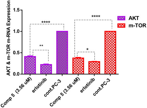 Figure 5. A graph represents the effect of compound 5 on the gene expression of AKT and m-TOR compared with negative control and erlotinib. The data are expressed as mean ± SD (n = 3 experiments), statistical analysis was performed by two-way ANOVA followed by Tukey’s post hoc test with *significant at p > 0.05, **significant at p > 0.01, ***significant at p > 0.001, ****significant at p > 0.0001, and nsno significance.