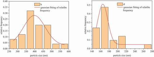 Figure 3. Particle size distribution of CoAl2O4 powders subjected to traditional heat drying (b) and supercritical fluid drying (d) at 1400°C.