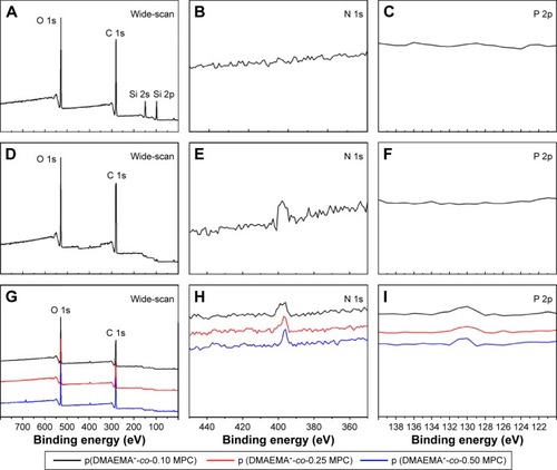 Figure 2 XPS spectra collected from PDMS surface (A) wide-scan spectra, (B) PDMS surface N 1s core-level spectra, (C) PDMS surface P 2p core-level spectra. p (DMAEMA+)-modified PDMS (D) wide-scan spectra, (E) N 1s core-level spectra, (F) P 2p core-level spectra. p (DMAEMA+-co-0.25 MPC)-modified PDMS (G) wide-scan spectra, (H) N 1s core-level spectra, and (I) P 2p core-level spectra.Abbreviations: XPS, X-ray photoelectron spectroscopy; PDMS, poly(dimethyl siloxane); p (DMAEMA+-co-MPC), (2-(dimethylamino)-ethyl methacrylate-co-2-methacryloyloxyethyl phosphorylcholine); MPC, 2-methacryloyloxyethyl phosphorylcholine; DMAEMA, 2-(dimethylamino)-ethyl methacrylate.