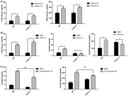 Figure 3. Effect of stress, lipopolysaccharide (LPS), or corticotropin on serum LPS, lipopolysaccharide-binding protein (LBP), and glucocorticoid concentrations. (A) Serum LPS and LBP concentrations after a 4-h exposure to water immersion restraint stress or not. (B) Serum LPS, cortisol, and corticosterone concentrations in mice treated with LPS or vehicle control (isotonic saline) for 4 h. (C) Serum cortisol and corticosterone concentrations in WT and TLR4−/− mice after a corticotropin (5 IU/ml, 50 IU/kg) test. Results represent mean ± SEM (n = 5). *p < .05 (one-way ANOVA, Tukey’s test) versus vehicle group. #p < .05 (one-way ANOVA, Tukey’s test) between linked groups.