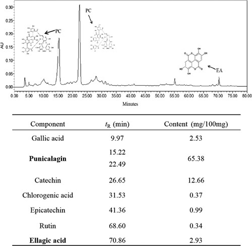Figure 2. HPLC analysis of pomegranate peel polyphenols extracts. The tR/content of PC and EA were in bold marks.