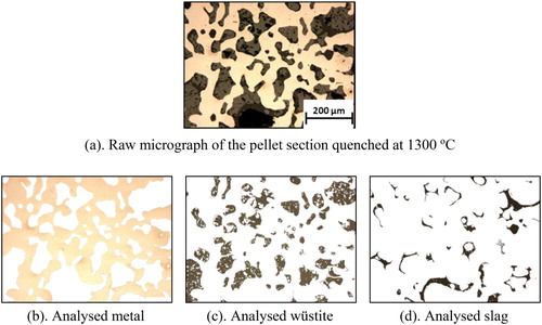 Figure 2. Phase identification and quantification from the micrograph using image processing application (GIMP).