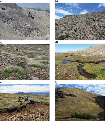 Figure 3. (a)–(f) Examples of land cover classes and landform types in Craig Goch: (a) bare ground on frost-shattered bedrock and a small rock glacier (c. 1,800–1,900 m); (b) sparse alpine vegetation on large stripes, site CG T3-5 (c. 1,700 m); (c) sparse alpine vegetation in area with small solifluction lobes, site CG T1-4 (c. 1,690 m); (d) dense alpine vegetation on outwash plain with terminal moraine in the background, site CG T2-3 (c. 1,750 m); (e) dense alpine vegetation on stabilized solifluction slope with bare area, site CG T1-1 (c. 1,625 m); (f) patch of Nothofagus forest, site CG T3-1, patchy and sparse alpine vegetation, sites CG T3-2 to T3-4, on colluvium slope (c. 1,500–1,650 m).