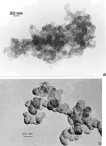 Figure 5 TEM images of soot aggregates collected by thermal precipitation in homes. (a) Candle soot. (b) Unknown soot PM collected in a kitchen.