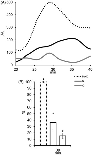 Figure 5. The effect of seminal prostasomes on reactive oxygen species (ROS) production in polymorphonuclear neutrophils (PMN). A: Kinetics of ROS production in PMN after activation with 12-myristate-13-acetate phorbol ester (PMA) alone (MAX) or in the presence of charge-resolved population of N and O, eluted with 1 M NaCl. B: Comparison of ROS production (%) in PMN after 30 min of PMA addition, alone or in the presence of charge-resolved population of N and O, eluted with 1 M NaCl shows statistically significant decrease for all. The results are mean values of three experiments, and vertical bars present percent of standard deviation. Asterisk (*) indicates P < 0.05. (AU = arbitrary chemiluminescence units; N = seminal prostasomes from normozoospermic men; O = seminal prostasomes from oligozoospermic men).