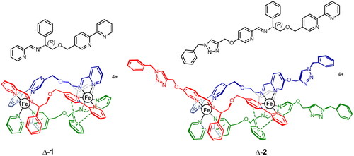 Figure 1. Triplex metallohelices used in this study. Each assembly comprises three ligand strands L, colourised separately and shown inset in black for clarity. The Rc,ΔFe,HHT-[Fe2L3]4+ enantiomers shown are denoted Δ-1 and Δ-2. The mirror images Sc,ΛFe,HHT-[Fe2L3]4+ are denoted Λ-1 and Λ-2 in the text.