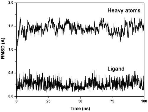 Figure 1. Analysis of the MD simulation of Fyn kinase in complex with VS6. The RMSD of the ligand and the heavy atoms of the receptor from the starting model structure during the simulation is reported.