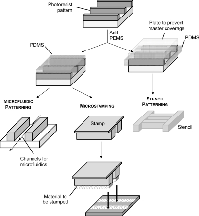 Figure 2 Soft lithography includes the techniques of microfluidic patterning, microstamping and stencil patterning. All three techniques are based on the generation of the replica of a microstructure from a poly(dimethyl siloxane) (PDMS) mold prepared through other microfabrication methods such as photolithography.