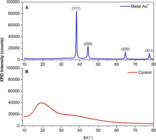 Figure 7. X-ray diffraction pattern of the fungal biosynthesized AuNPs powder. Suspension of the fungal biosynthesized AuNPs was freeze-dried lyophilized and ground to prepare the samples for XRD analysis. The X-ray diffraction pattern obtained from the AuNPs powder (blue line) and the fungal PDB-filtrate used as a negative control (red line) are shown.