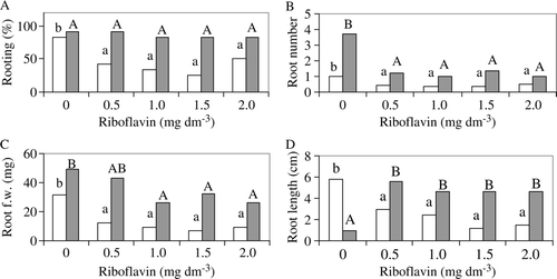 Figure 1.  Effect of riboflavin and NAA (0.1 mg dm−3 □, 1.0 mg dm−3 ▪) on the rooting% (A), root number per explant (B), root fresh weight (C), and root length (D) of sour orange at the end of the experiment. Within the same NAA treatment, means followed by the same letter are not significantly different (Duncan multiple-range test, P≤0.05).