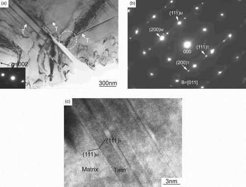 Fig. 3. Microstructure of the TEM specimen after third tensile strain at (a) g=[Citation002] (deformation twins are assigned by white arrows), (b) SAED patterns and (c) high-resolution TEM image of the deformation twins corresponding to the white circle in Figure 3(a).