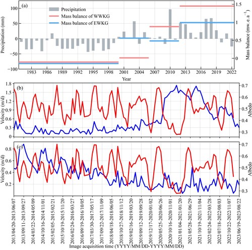 Figure 9. (a) Anomalous precipitation and mass balance variations in the WWKG and EWKG regions from 1981 to 2022. The relationship between glacier surface albedo and velocity for WWKG (b) and EWKG (c) from 2013 to 2023. In the figure, the solid blue line represents the velocity, and the solid red line represents the albedo.