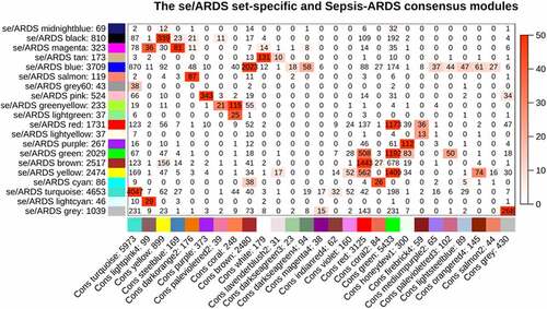 Figure 5. Correspondence of sepsis-induced (se/ARDS) set-specific and the se/ARDS-sepsis consensus modules. each row of the table refers to one se/ARDS set-specific module, each column to one consensus module. numbers indicate gene counts in the intersection of consensus modules. the significance of overlap is color-coded; the stronger the red color, the more significant the overlap is. the table represents that most se/ARDS set-specific modules are observed in consensus modules
