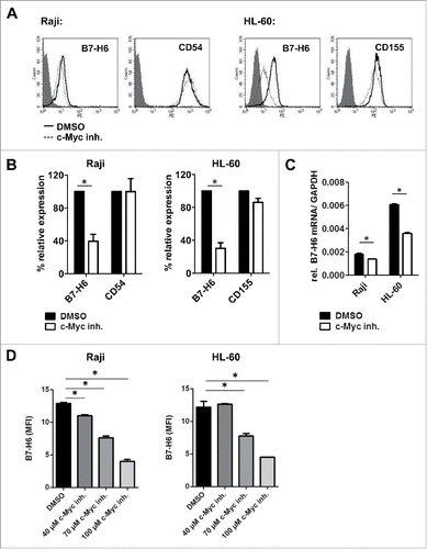 Figure 5. Pharmacological inhibition of c-Myc reduces B7-H6 expression in lymphoma and leukemia cell lines. (A, B) Raji and HL-60 cells were treated for 24 h with 100 µM c-Myc inhibitor or DMSO as solvent control. (A) Representative histogram overlays show cell surface expression of B7-H6 and CD54/CD155 24 h after treatment. Filled histogram: isotype control; open solid histogram: DMSO-treated cells; open dashed histogram: c-Myc inhibitor-treated cells. Dead cells were excluded by gating on 7-AAD negative cells. (B) Quantification of (A); MFI was calculated as geometrical mean of specific staining minus isotype control staining. % relative expression was calculated by setting the MFI of DMSO-treated cells as 100%. The mean +/− SD (n = 4) from two independently performed experiments is shown. (C) Relative B7-H6 mRNA expression in the indicated tumor cell lines was quantified by qRT-PCR 8 h after c-Myc inhibition. The mean (expression of B7-H6 relative to GAPDH) +/− SD is depicted. The mean of duplicates +/− SD is indicated. One representative experiment out of at least three independently performed experiments is depicted. (D) Raji and HL-60 cells were treated for 24 h with the indicated amounts of c-Myc inhibitor or DMSO as solvent control. The mean of duplicates +/− SD is indicated. One representative experiment out of at least two independently performed experiments is depicted. *p <0.05 determined by Student's t-test