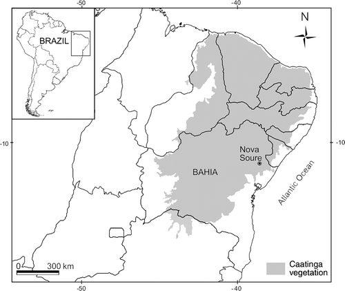 Figure 1. Map of northeastern Brazil with the Nova Soure location showing the distribution of the Caatinga vegetation.