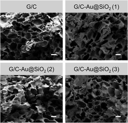 Figure 3. FESEM images of pure G/C and G/C-Au@SiO2 HNPs containing various ratios (scale bar 20 µm).