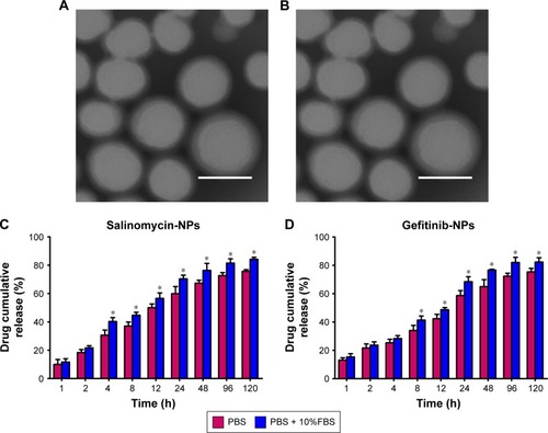 Figure 3 The morphology of nanoparticles observed by TEM and the drug release of nanoparticles. (A and B) TEM. The nanoparticles were stained by 2% PTA and visualized under the TEM. Scale bar represents 100 nm. (C and D) The in vitro release of salinomycin or gefitinib from the nanoparticles in PBS and plasma, respectively. The drug release in PBS and plasma groups are compared by Student’s nonpaired t-test. *P<0.05. Data are expressed as mean ± SD (n=3).