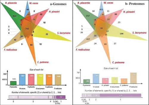 Figure 5. Six-way Venn diagrams showing the number of commonly expressed genes among the (a) genome wide proteomic annotations and (b) differentially expressed significant genes from the gene expression datasets.