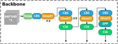 Figure 12. Backbone network structure embedded with CIA module.