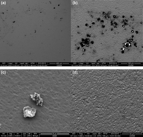 Figure 5. SEM images of the biosensors. (a) Magnified SEM image of activated neutrophils on the surface of a biosensor (200×), (b) Magnified SEM image of activated neutrophils on the surface of a biosensor (500×), (c) Magnified SEM image of activated neutrophils on the surface of a biosensor (3000×). (d) Magnified SEM image of the control group (1600×). Neutrophils were not observed on the crystal surfaces.