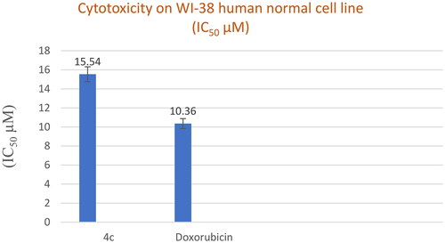 Figure 6. In vitro cytotoxicity (IC50) of compound 4c and Doxorubicin on WI-38 human cell line (Normal cell composed of fibroblasts and derived from lung tissue of a 3-month-gestation aborted female fetus).