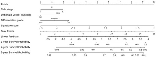 Figure 5 The constructed deep learning signature-based nomogram. The nomogram was developed in the training set, with the deep learning signature, TNM stage, lymphatic vessel invasion and differentiation grade.