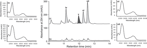 Figure 9. Expansions from the HPLC-DAD-ESIMS chromatograms (254 nm) of EtOAc extracts derived from Rhizopus oryzae (ACM-165F) cultured for 10 days in ISP-2 broth (a) with and (b) without LPS (0.6 ng/mL). Enhanced and activated metabolites are shown in light and dark grey, respectively.