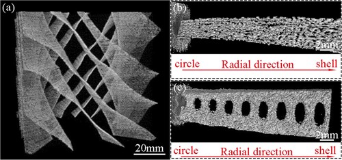 Figure 5. Macrostructure and microstructure of (a,b) Al-B and (c) Al-L.