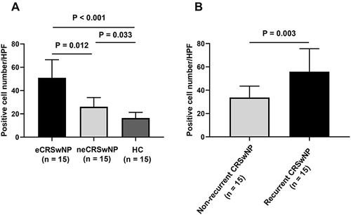 Figure 8 Quantitative analysis of ALCAM immunoreactivity in nasal poly and HC samples. (A) ALCAM positive cell number was significantly greater in the eCRSwNP group than the neCRSwNP and HC groups. (B) ALCAM positive cell number was significantly greater in the recurrent CRSwNP group than the non-recurrent CRSwNP group and.