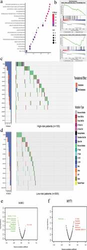 Figure 5. Identification of this gene signature associated with signal transduction pathways and mutation load.