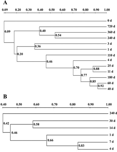 Figure 4. Cluster analysis of fungi DGGE community in processes of industrial fermentation (a) and traditional fermentation (b). The fungi DGGE profiles of sample A clustered into 4 sets (0 d; 1 d, 3 d; 4 d, 11 d, 25 d, 40 d, 60 d, 110 d, 180 d; 240 d, 360 d, 720 d), while sample B clustered into three sets (1 d, 4 d, 7 d; 14 d, 30 d; 240 d).