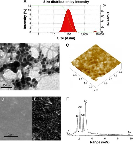 Figure 2 Morphological characterization of AgNPs.Notes: Particle size distribution (A), TEM image (B), AFM height image (C), SEM primary image (D), backscattered image (E), and X-ray energy dispersive spectrum (F), of AgNPs.Abbreviations: TEM, transmission electron microscopy; AgNPs, silver nanoparticles; AFM, atomic force microscopy; SEM, scanning electron microscopy.